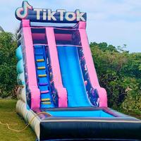 Toboggan gonflable sur le thème de TikTok, toboggan aquatique gonflable commercial avec piscine, toboggan extérieur pour enfants