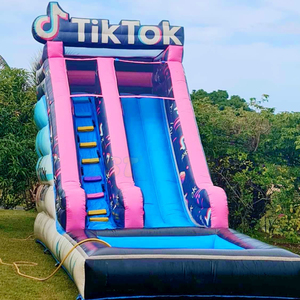 Toboggan gonflable sur le thème de TikTok, toboggan aquatique gonflable commercial avec piscine, toboggan extérieur pour enfants - Product Image 2