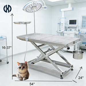 Mesa de Cirugía Veterinaria de Acero Inoxidable 304 con Elevación Suave, con Filtro de Residuos y Bandeja Desmontables, Apta para Centros de Cuidado <span class=keywords><strong>Animal</strong></span> - Product Image 1