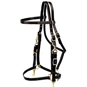 Factory Made Premium Handmade Leather Horse Browband Padded English Bridle Durable <b>Equestrian</b> Accessory - Product Image 2