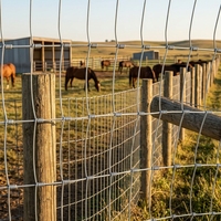 Clôture en treillis métallique galvanisé à chaud GUOHUI pour bétail, ferme, champ, ranch et enclos de pâturage