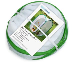 Cage d'élevage transparente pour papillons, cage en filet pour l'élevage des insectes, utilisation en laboratoire - Product Image 4