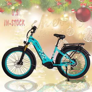 Uitgerust 750 Watt Motor Super E-Bike Met 48V Lithium Batterij Aangedreven Chinese Make Elektrische Fiets