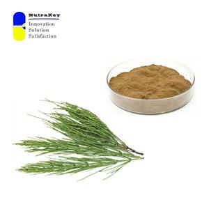 Premium atkuyruğu özü tozu <span class=keywords><strong>7%</strong></span> silika | Gıda sınıfı organik Equisetum Arvense tozu | Doğal saç, cilt ve kemik desteği - Product Image 3