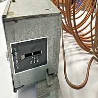 Termostato de Límite Inferior PLC Johnson Controls THT02102 34-60F con Reinicio Manual, Suministro a Granel