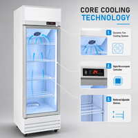 Réfrigérateur vertical haute efficacité avec refroidissement par ventilateur, porte vitrée, pour restaurant, café, vitrine de boissons