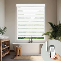 Allbright Powered by Eve Motionblinds Tende a Rullo Smart Zebra Oscuranti Senza Fili Compatibili con Matter e Thread per Finestre Domestiche