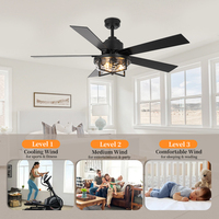 Ventilateur de plafond décoratif avec lampe