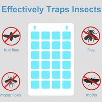 Insectenlijmvallen voor binnen en buiten, fruitvliegenvanger, gele en blauwe kleverige vliegenvangers voor vliegende insecten, bladluis, witte vliegen