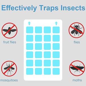 Pièges à insectes collants pour intérieur et extérieur, piège à mouches des fruits, piège à insectes volants collant jaune et bleu, pucerons, mouches blanches - Product Image 2