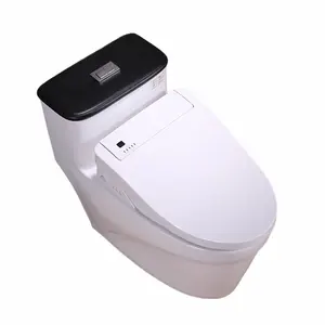 New products modern wc bathroom commode intelligent woman toilet