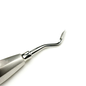 Elevador de Extracción Dental de Acero Inoxidable, Herramienta Quirúrgica Dental para Hospital, Suministro para Procedimientos Orales, Elevador de Extracción Dental - Product Image 6