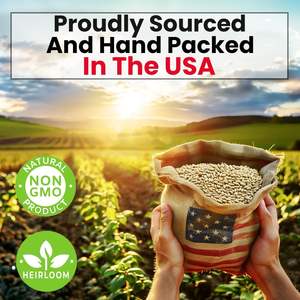 Kit de 5 variétés d'herbes, motif carré, fibres végétales, comprenant origan, coriandre, persil, <span class=keywords><strong>basilic</strong></span>, <span class=keywords><strong>ciboulette</strong></span> - Product Image 5