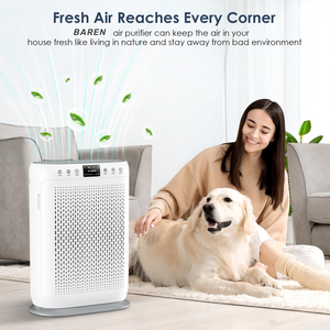<span class=keywords><strong>Purificateur</strong></span> <span class=keywords><strong>d</strong></span>'<span class=keywords><strong>air</strong></span> Hepa Room Mounted Household Pet Best Purifiers Office Portable Smoke Cigarette Wifi Uv <span class=keywords><strong>Air</strong></span> Purifier - Product Image 4