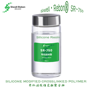 Résine de silicone Siwell Rebon SR-750 - Product Image 2
