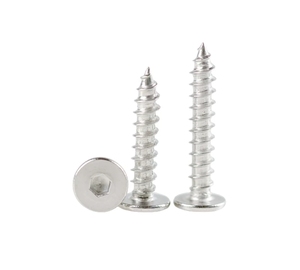 สกรูเกลียวปล่อยหัวหกเหลี่ยมสแตนเลส LeGood รุ่น M2 M3 - Product Image 1
