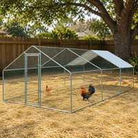 Poulailler en métal pour animaux de compagnie, petite volière pour poules, pour jardin, cour, patio, pelouse, extérieur