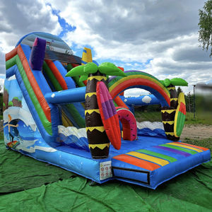 Tobogán Acuático Inflable Comercial, Tobogán Popular de la <span class=keywords><strong>Costa</strong></span> <span class=keywords><strong>Tropical</strong></span>, Castillo Inflable con Piscina, Tobogán Inflable Gigante con Forma de Arcoíris - Product Image 3