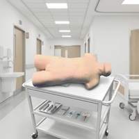 Modèle d'entraînement complet pour ponction veineuse sur le torse, simulateur de ponction veineuse interne (jugulaire, sous-claviculaire) pour l'enseignement médical