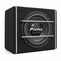 PISTOL OEM ODM Subwoofer de voiture de 12 pouces, haut-parleur audio automobile avec emballage de marque privée
