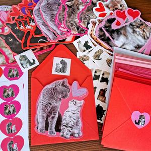 Cartes de la Saint-Valentin <span class=keywords><strong>à</strong></span> <span class=keywords><strong>gratter</strong></span> et <span class=keywords><strong>à</strong></span> sentir, parfum fraise, cartes de la Saint-Valentin pour chats et animaux de compagnie, cartes d'<span class=keywords><strong>amour</strong></span> avec enveloppes et autocollants en forme de cœur - Product Image 3