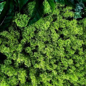 Clôture végétale durable, mur de plantes en herbe, diverses plantes, <span class=keywords><strong>plante</strong></span> artificielle, haie pour décoration verticale intérieure ou extérieure - Product Image 2