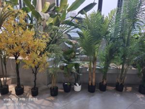 Usine directe grand PE vert bambou artificiel arbre et plante pour café bureau bureau salle jardin décor extérieur - Product Image 6