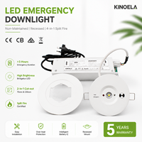 Lámpara LED de Emergencia Recargable de 475lm LiFePO4 con Doble Lente, Tipo Pasillo, Interruptor de Prueba Manual, Estándar Australiano CB CE SAA