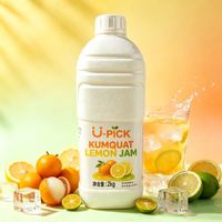 2kg Commercieel Kumquat Citroen Concentraat, 40% Echt Fruitsap, 9x Verdunbaar voor Bubble Tea & Dranken