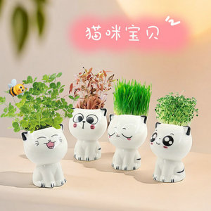 Set di Piante <span class=keywords><strong>in</strong></span> <span class=keywords><strong>Vaso</strong></span> a Forma di Gatto Cartoon, Giocattolo Fai-da-Te per Bambini, Regalo per l'Apertura della Scuola o Compleanno - Product Image 2