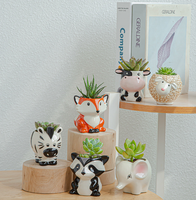 Pot Succulent en céramique pour bébé, avec trou de Drainage, ensemble de conteneurs pour plantes de fleurs, motifs de dessin animé