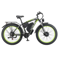 Vélo de montagne électrique avec moteur à moyeu arrière, cadre en acier, moteur sans balais 48V 250W, batterie au lithium, freins à disque hydrauliques