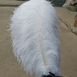 Vendita a buon mercato 28-30 pollici <span class=keywords><strong>piume</strong></span> <span class=keywords><strong>di</strong></span> <span class=keywords><strong>ali</strong></span> <span class=keywords><strong>di</strong></span> struzzo lanuginose <span class=keywords><strong>bianche</strong></span> e colorate per la decorazione della fase <span class=keywords><strong>di</strong></span> nozze della festa - Product Image 4