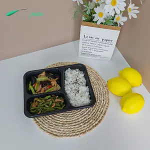 Bandeja plástica Cpet descartável personalizada para levar comida, forno de micro-ondas, avião, lancheira com 3 compartimentos, resistente ao calor