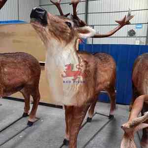 Modelo Animatrónico de Reno de Tamaño <span class=keywords><strong>Real</strong></span> para Parque Zoológico - Product Image 2