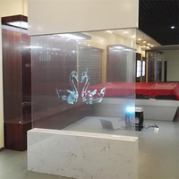 Moderne Transparente 3D Holographische UTD Selbstklebende PET Dekorationsfolie Rückprojektions-Fensterglasfolie