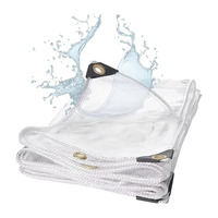 Bâche en PVC tissé transparent enduit, robuste et imperméable, 8x10 pieds, avec œillets, pour patio, porches extérieurs, pavillons, plantes et serres