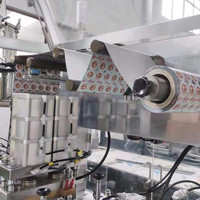 Machine d'emballage automatique à Blister pour beurre, appareil d'emballage en blister pour le miel, le chocolat liquide, livraison gratuite, DPP