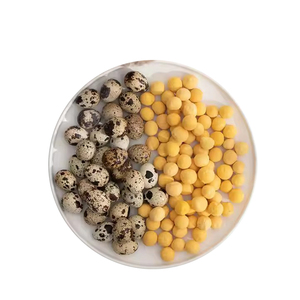 Chim Cút trứng lòng đỏ Pet đồ ăn nhẹ 100% tự nhiên không có chất bảo quản thúc đẩy sức khỏe não tóc Pet thực phẩm đông khô - Product Image 3