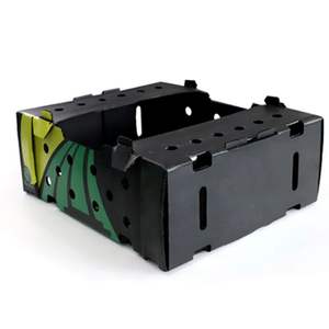 <span class=keywords><strong>Caja</strong></span> de volumen de almacenamiento de frutas y verduras plegable PP corrugado blanco de fábrica con impresión de logotipo <span class=keywords><strong>Caja</strong></span> De Plástico <span class=keywords><strong>Caja</strong></span> De envío - Product Image 6