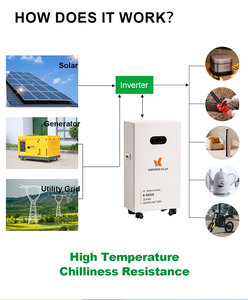 Système de Sauvegarde Énergétique pour Toute la Maison : Batterie Murale 15360Wh 300Ah, Stockage Solaire Haute Capacité pour Vie Hors Réseau, Sortie 15kW - Product Image 5