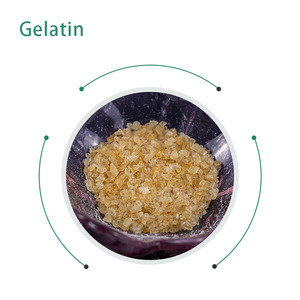 Polvo de gelatina Halal de grado alimenticio, CAS 9000-70-8 - Product Image 2