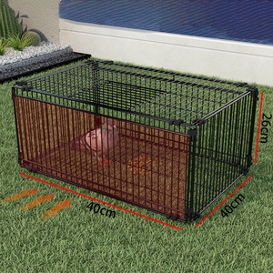 Jaula Trampa para Palomas al por Mayor - OEM/ODM Disponible, Precios al por Mayor, Más de 20 Años de Experiencia, Certificación CE/FDA - Product Image 4