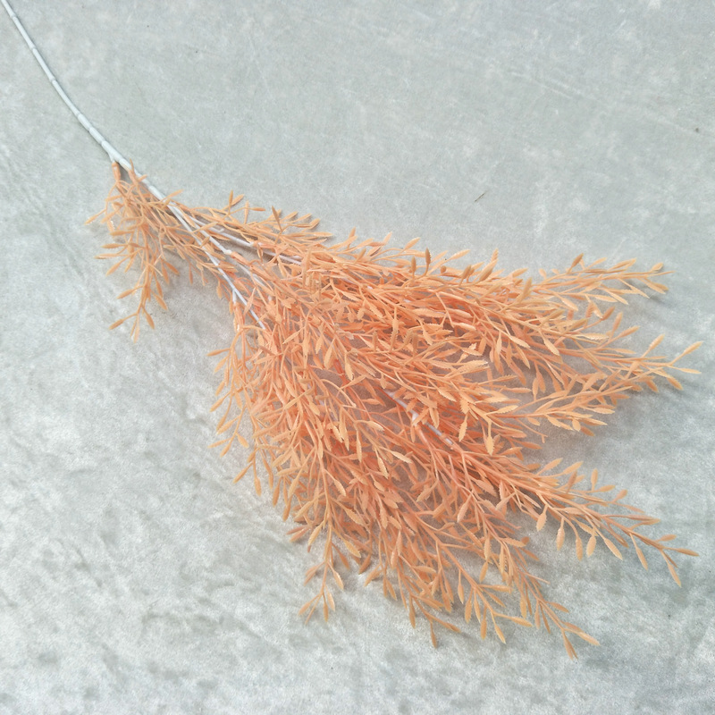 Erba di grani di riso n. 2 arancione chiaro