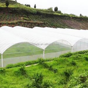 Film in HDPE anti-UV <span class=keywords><strong>per</strong></span> <span class=keywords><strong>serre</strong></span> |   Telo in Polietilene Resistente <span class=keywords><strong>per</strong></span> <span class=keywords><strong>Serre</strong></span>, Frutteti e Coltivazioni Agricole - Product Image 5