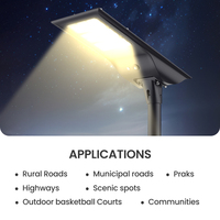Farola Solar Integrada de 20W 30W 40W con Carga MPPT, Clasificación IP65, Construcción de Aluminio Fundido a Presión para Uso en Carreteras