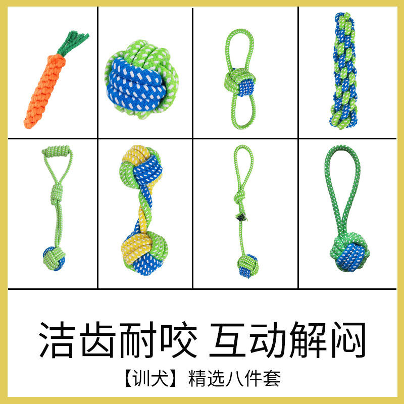 Ensemble de dressage pour chiens - 8 pièces