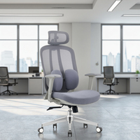 Chaise de bureau ergonomique avec réglage de la hauteur Support lombaire moderne en maille-pour usage domestique Chaise de direction en plastique