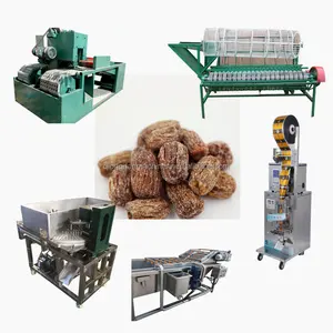 Iraq Dried Date Palm Washing and Drying Pitting Processing Machinery Dates Syrup Production Line Iraq Date Washing Machine
