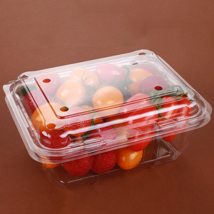 Vận Chuyển Dâu Tây Snack Stroge Bao Bì Hộp Cho Trái Cây Và Rau Quả - Product Image 4